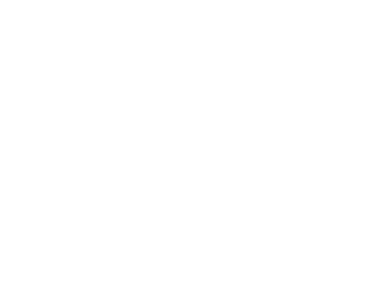 Altirus White Logo
